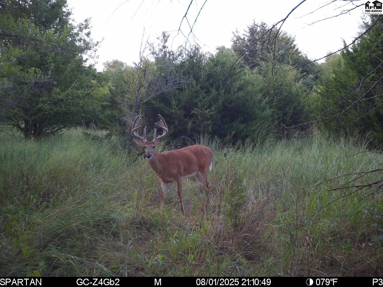 00000 W Copeland Avenue Kingman KS 67068