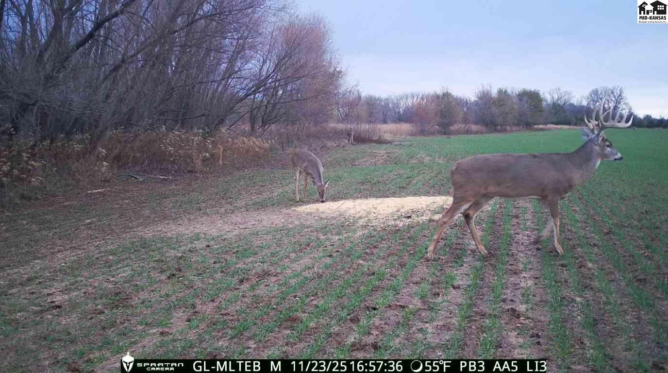 00000 NE 140 Road Harper KS 67058