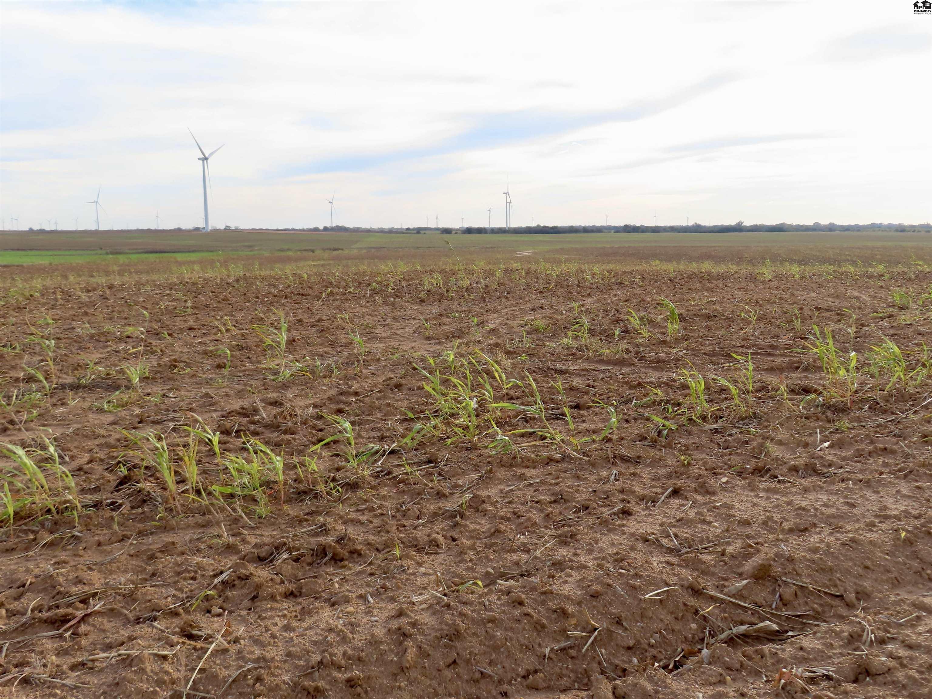 0000 NW 130th Road Harper KS 67058