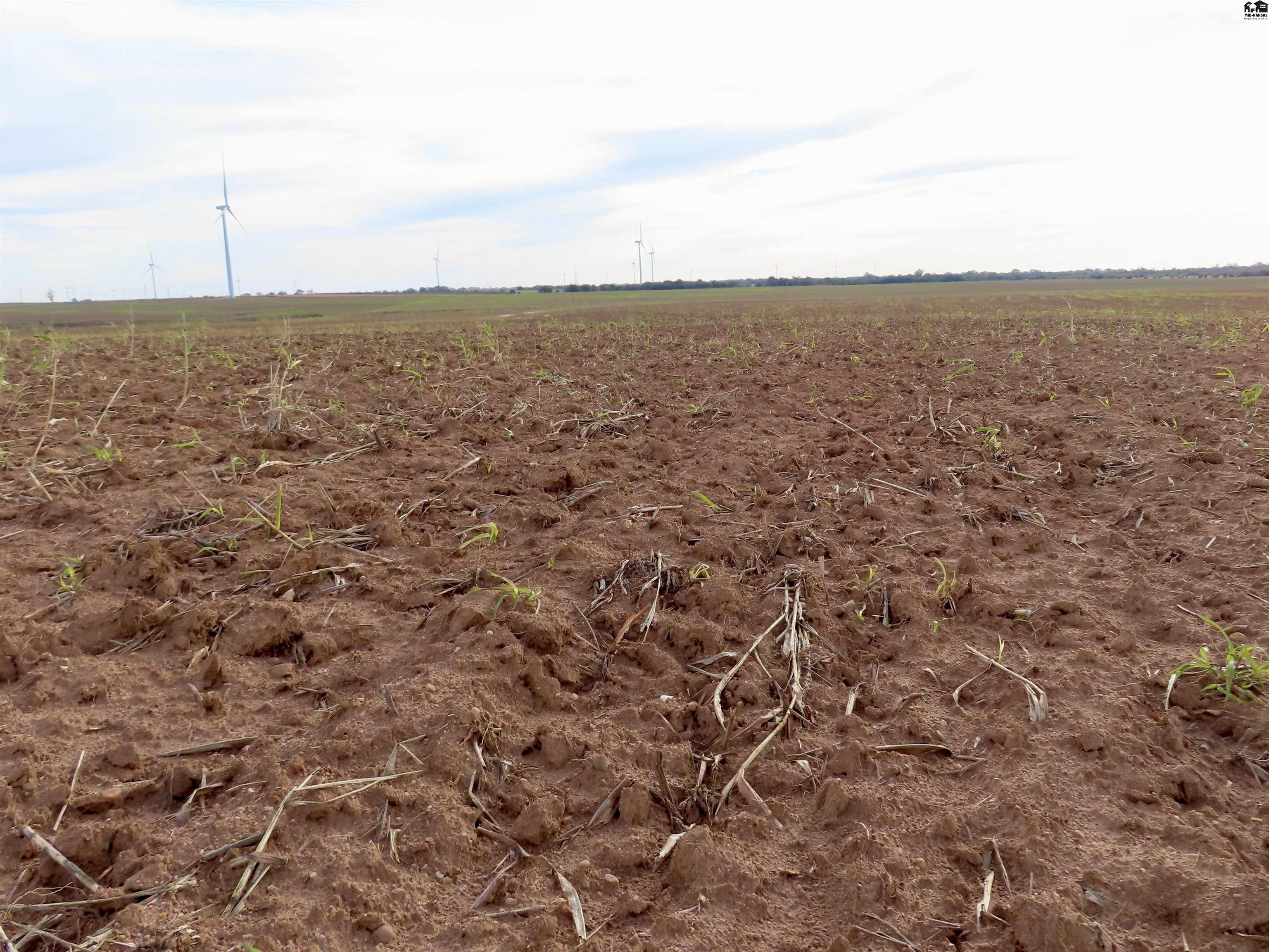 0000 NW 130th Road Harper KS 67058