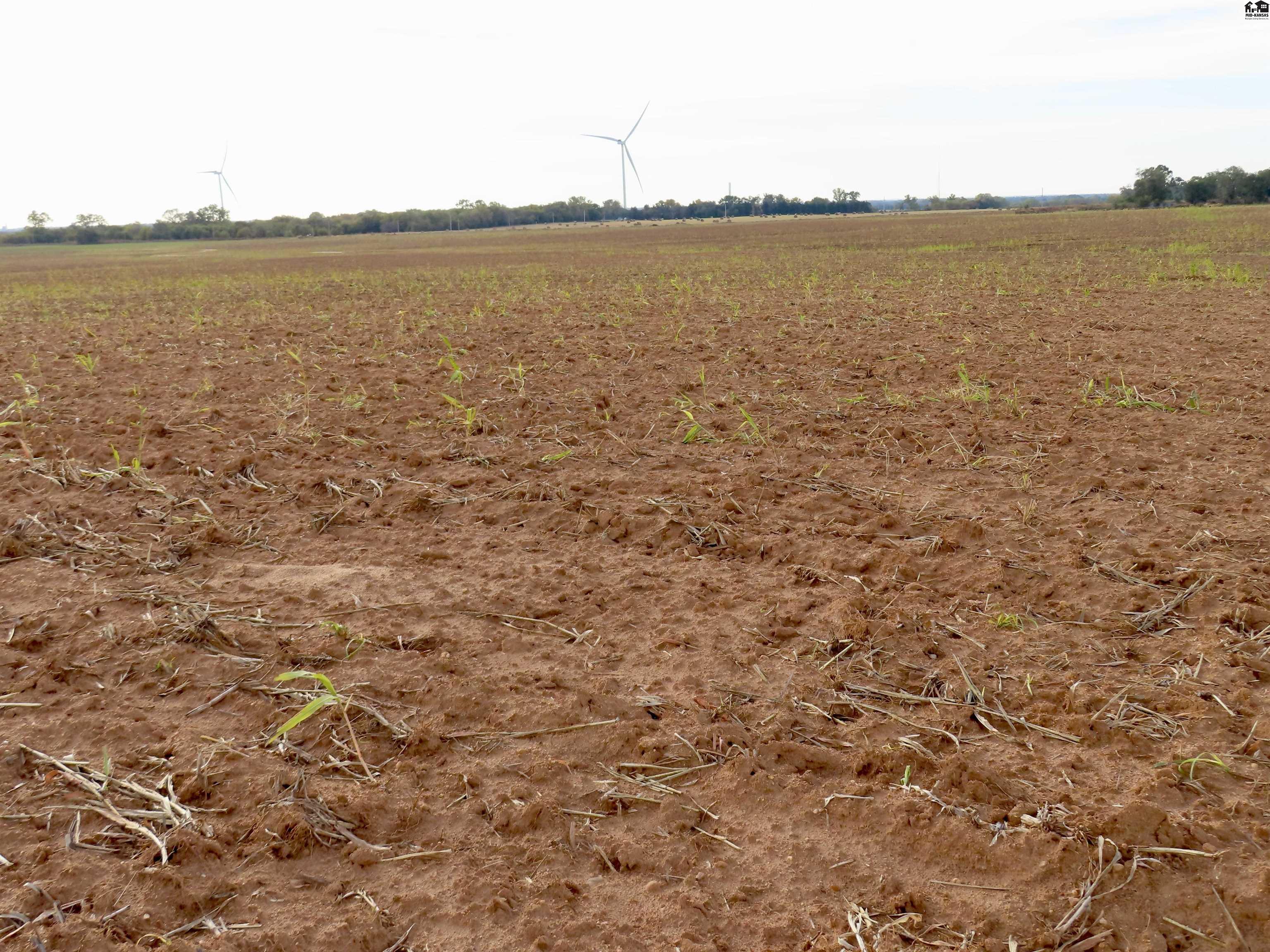 0000 NW 130th Road Harper KS 67058