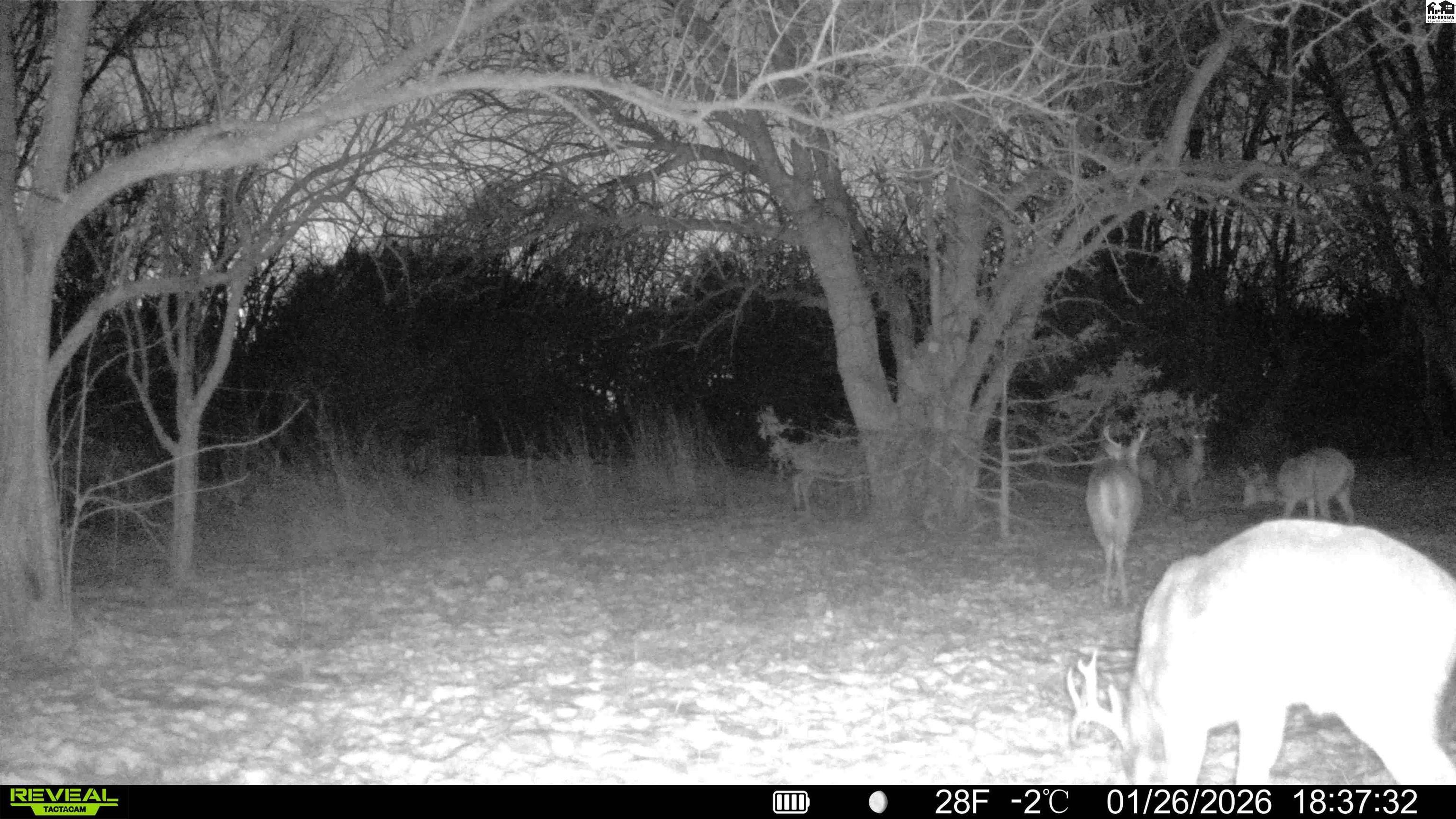 000 S Dean Road Pretty Prairie KS 67570