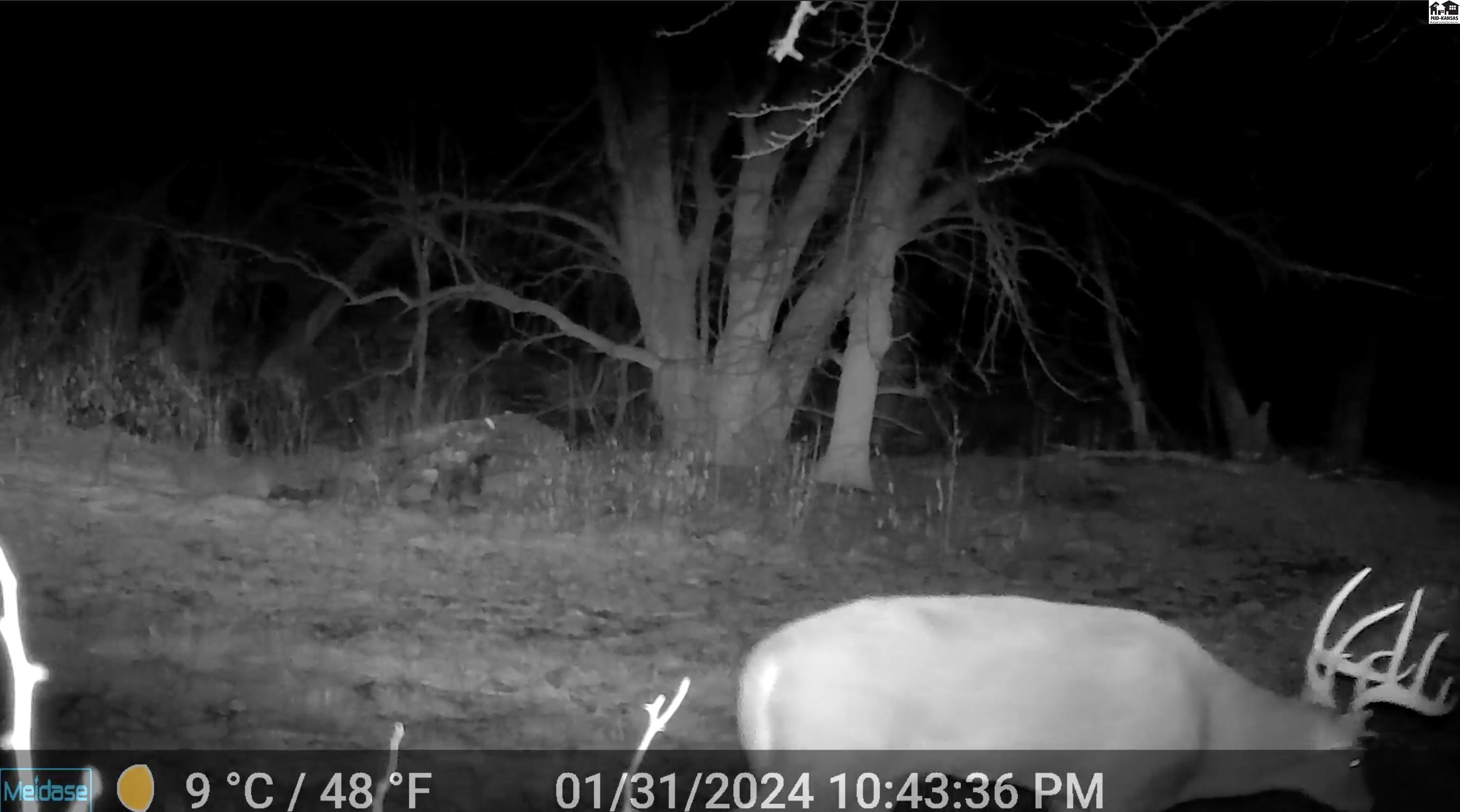 000 S Dean Road Pretty Prairie KS 67570