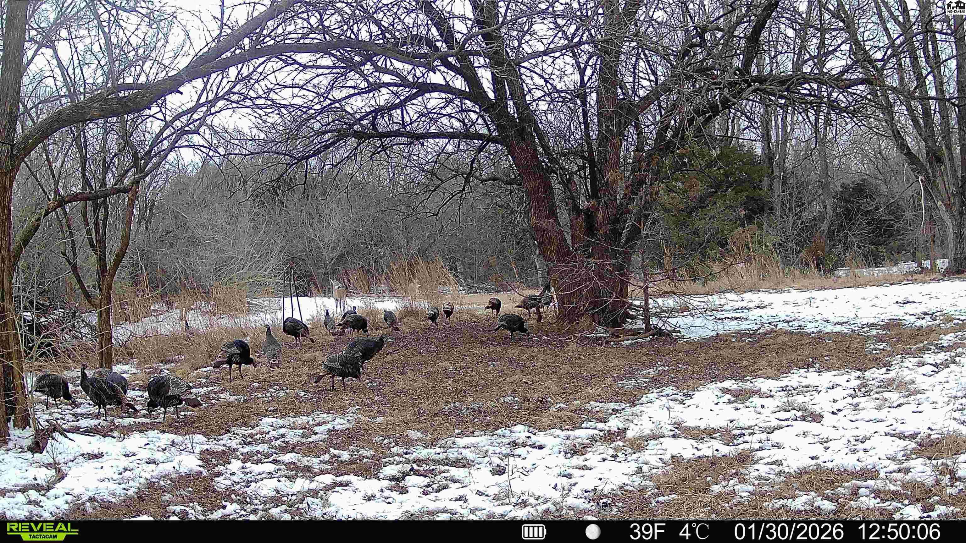 000 S Dean Road Pretty Prairie KS 67570