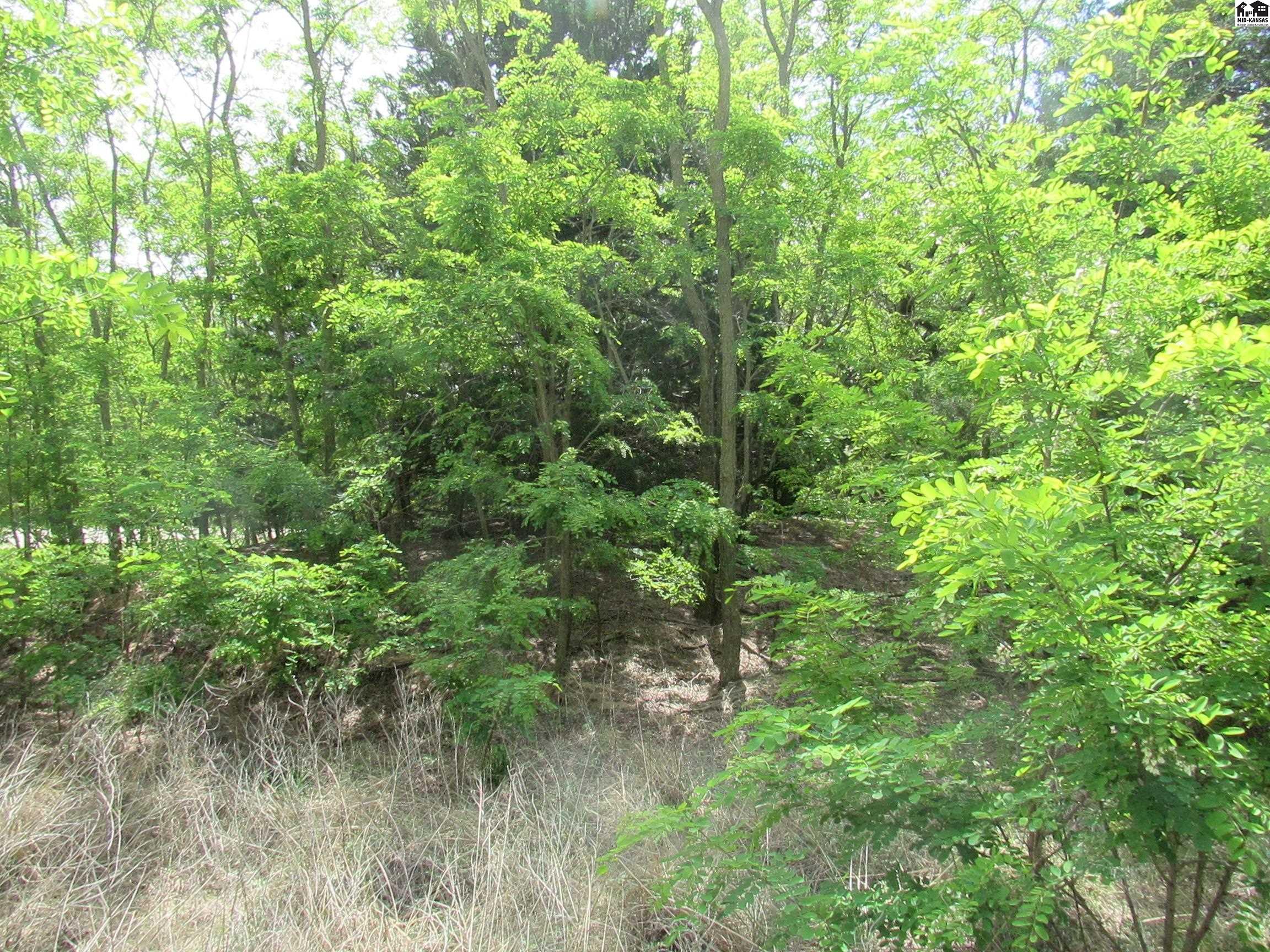 00000 East Red Tail Road Hutchinson KS 67502