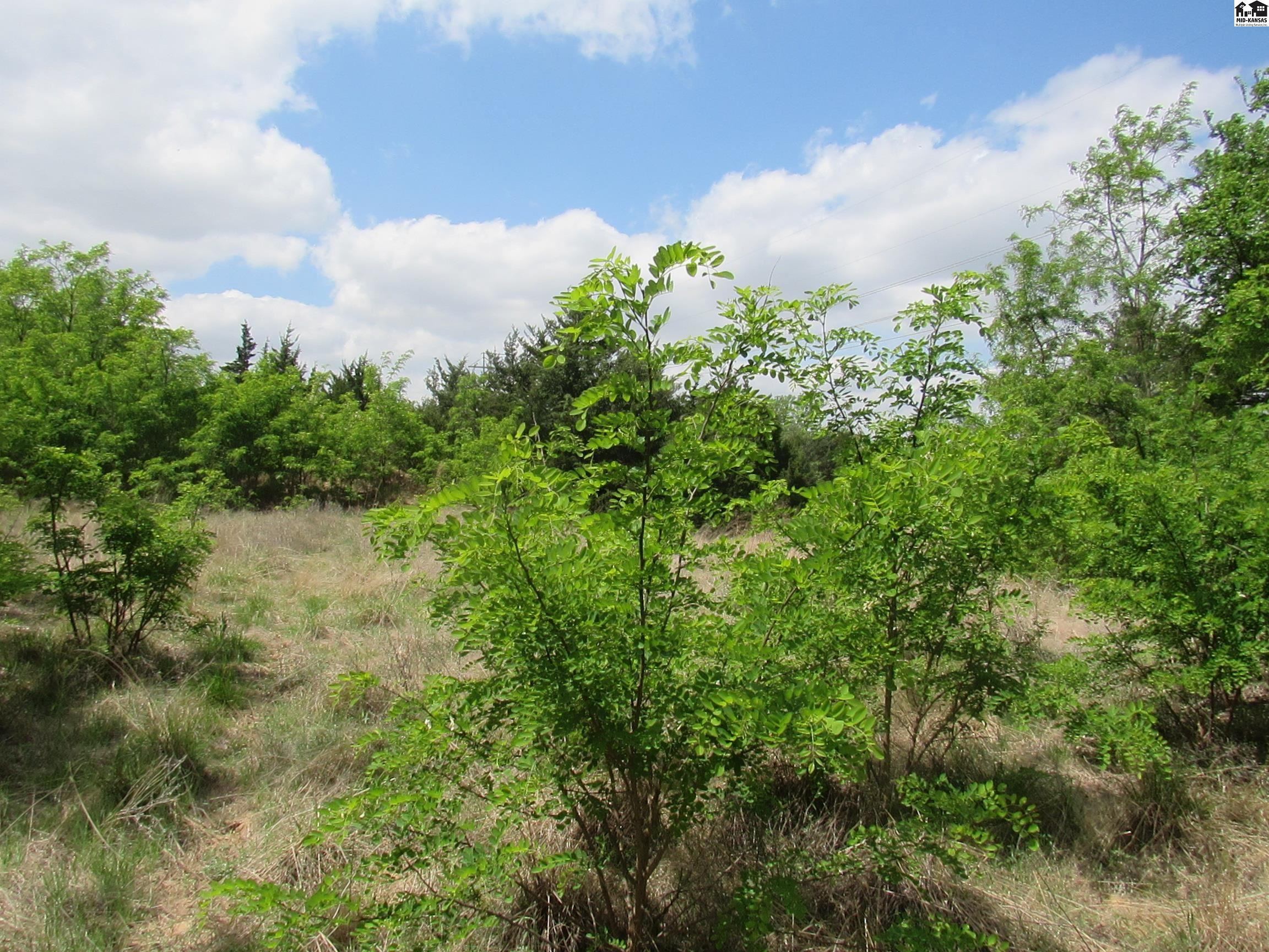 00000 East Red Tail Road Hutchinson KS 67502