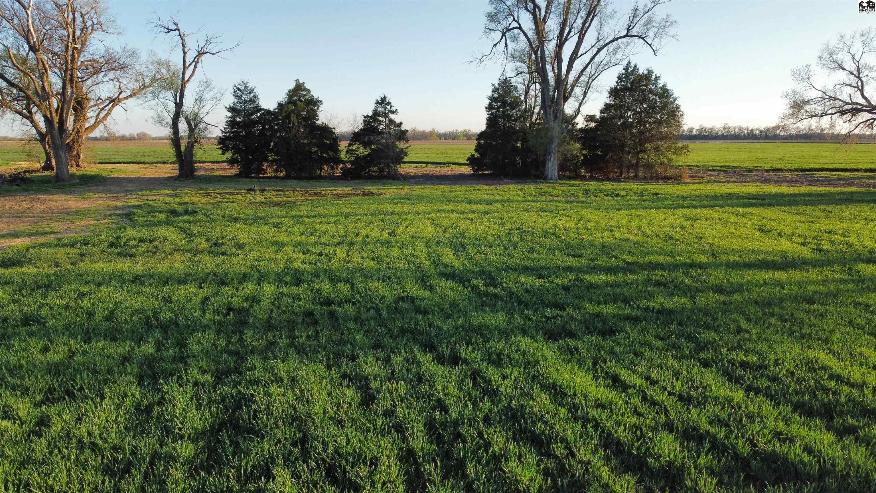 21315 SW 96th Street Burrton KS 67020