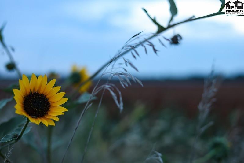 001 Sunset Road Great Bend KS 67530