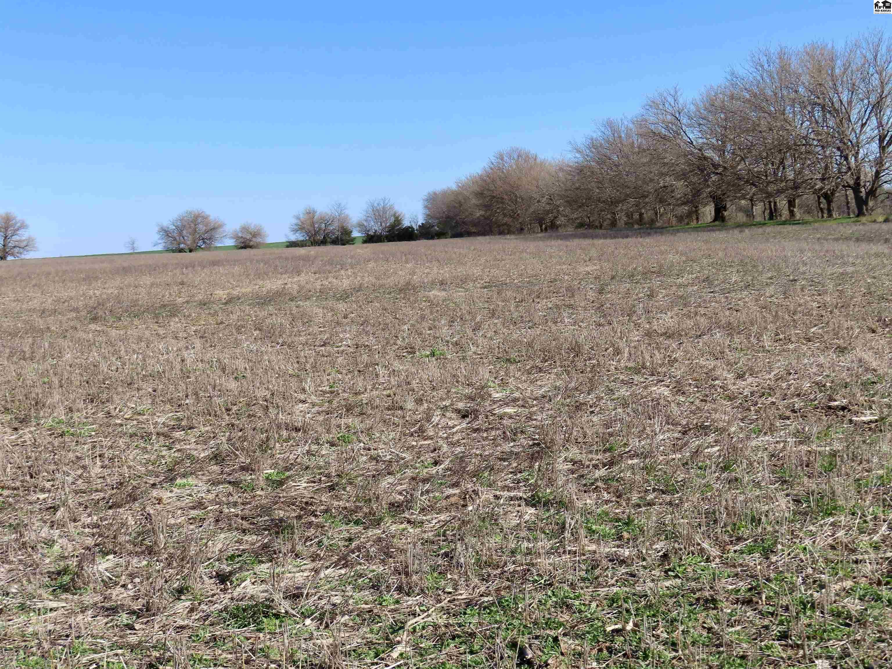 0000 S Dean Road Pretty Prairie KS 67570