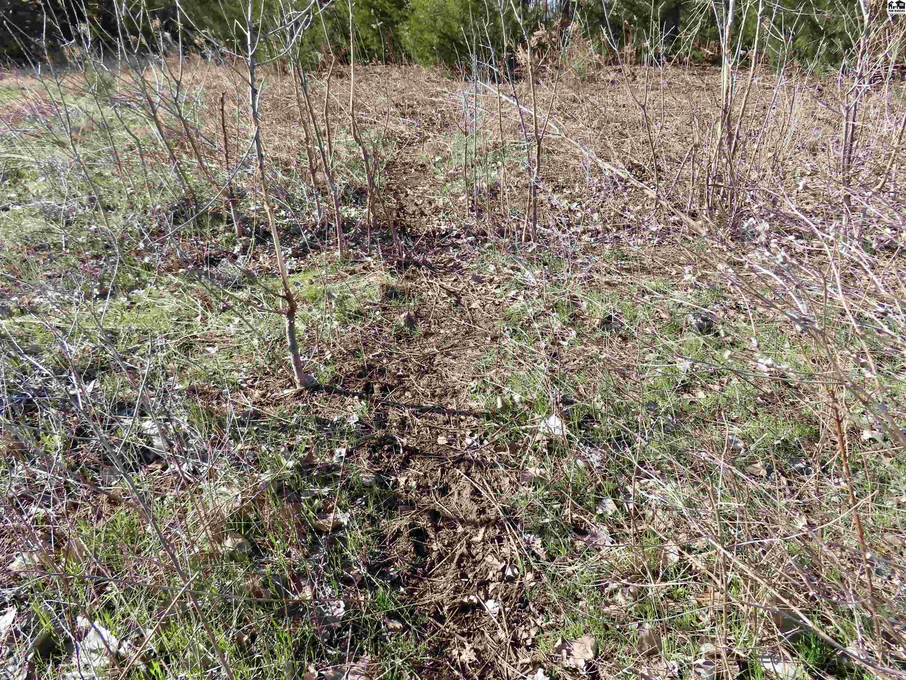 0000 S Dean Road Pretty Prairie KS 67570