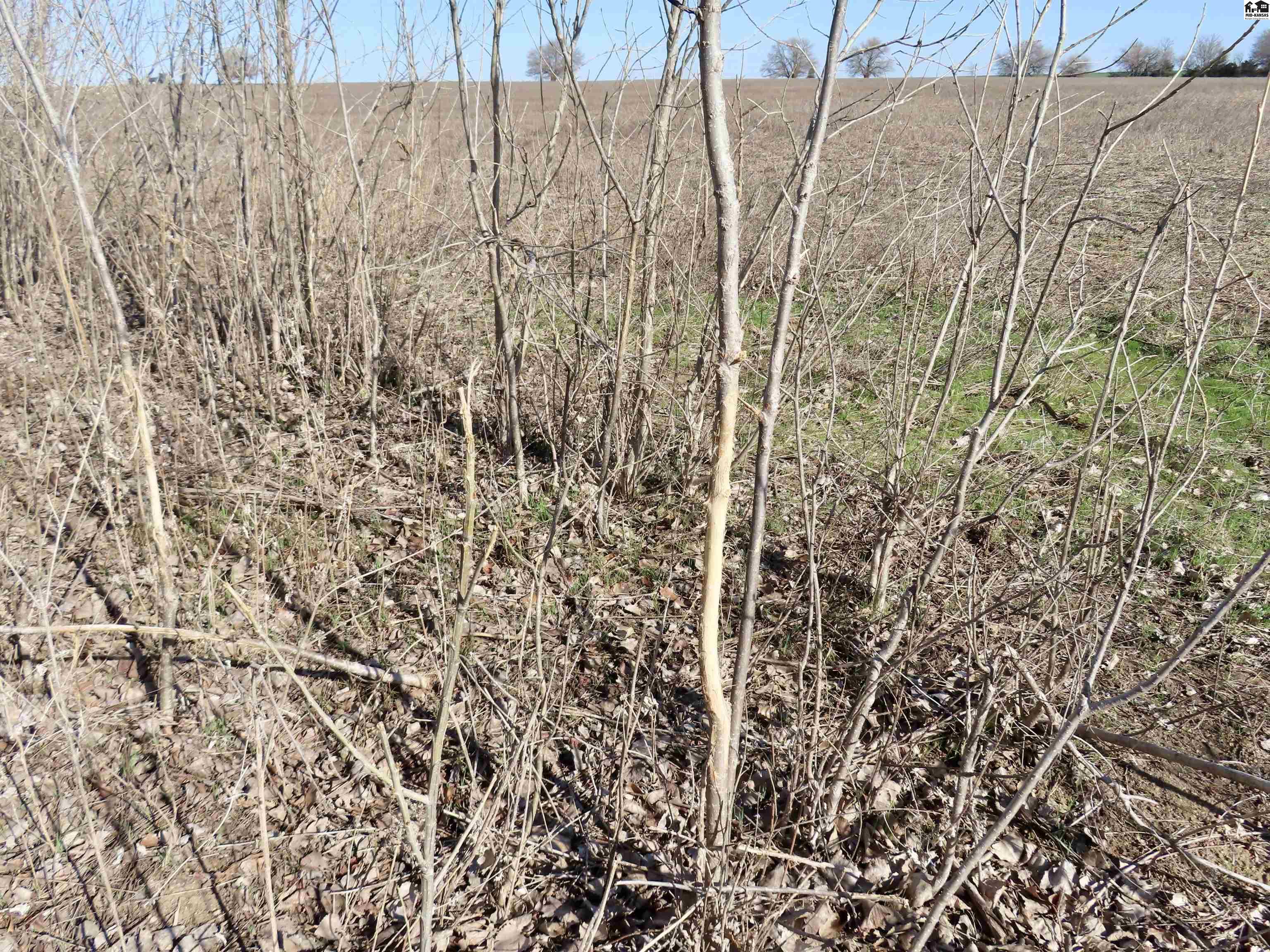 0000 S Dean Road Pretty Prairie KS 67570