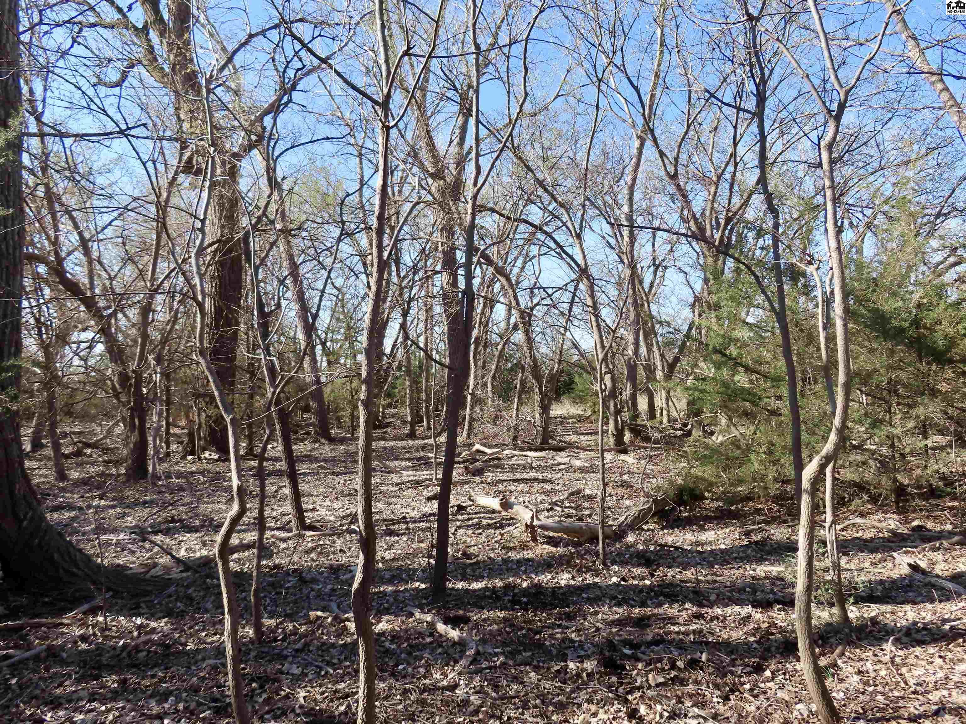 0000 S Dean Road Pretty Prairie KS 67570