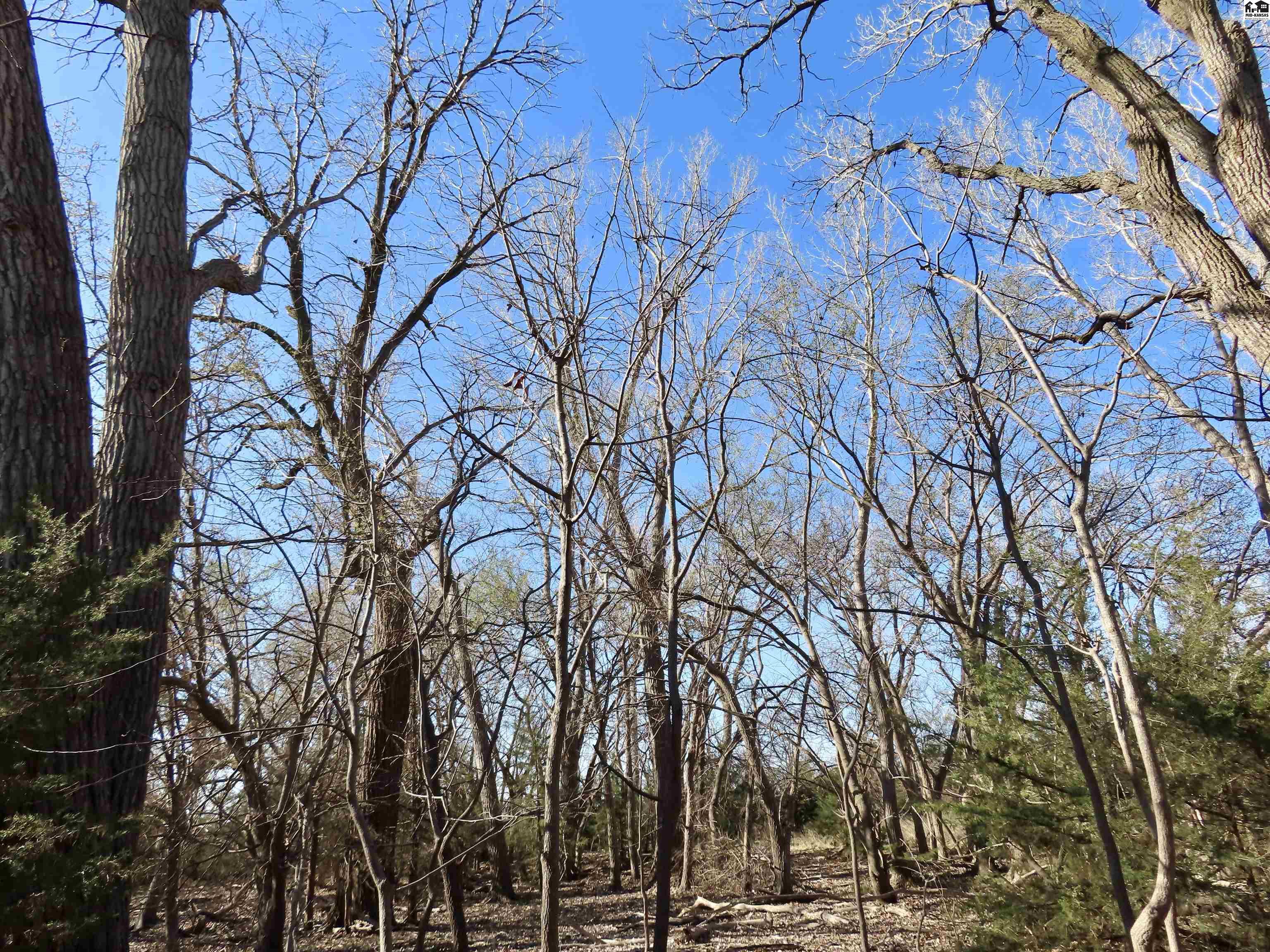 0000 S Dean Road Pretty Prairie KS 67570