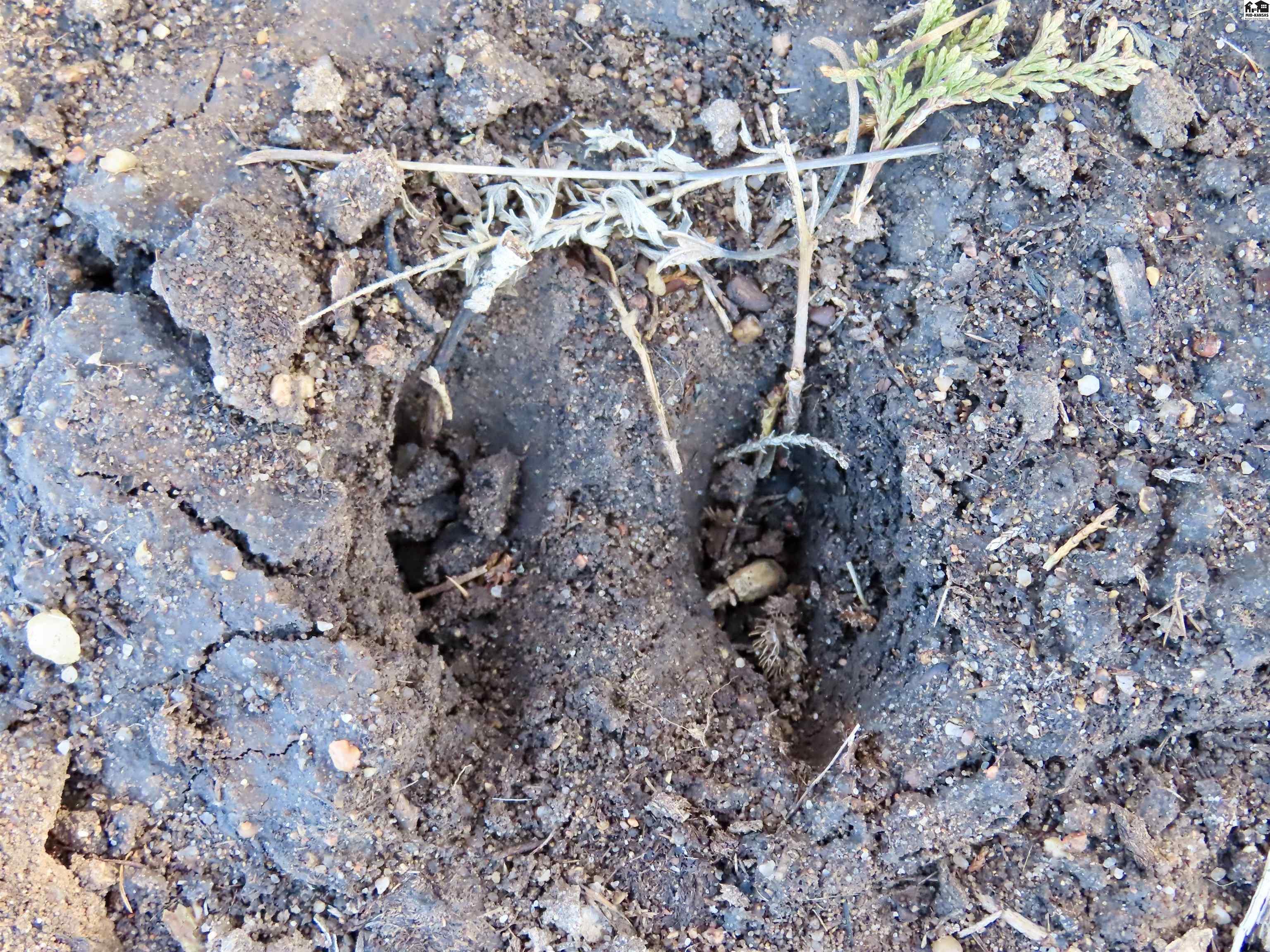 0000 S Dean Road Pretty Prairie KS 67570