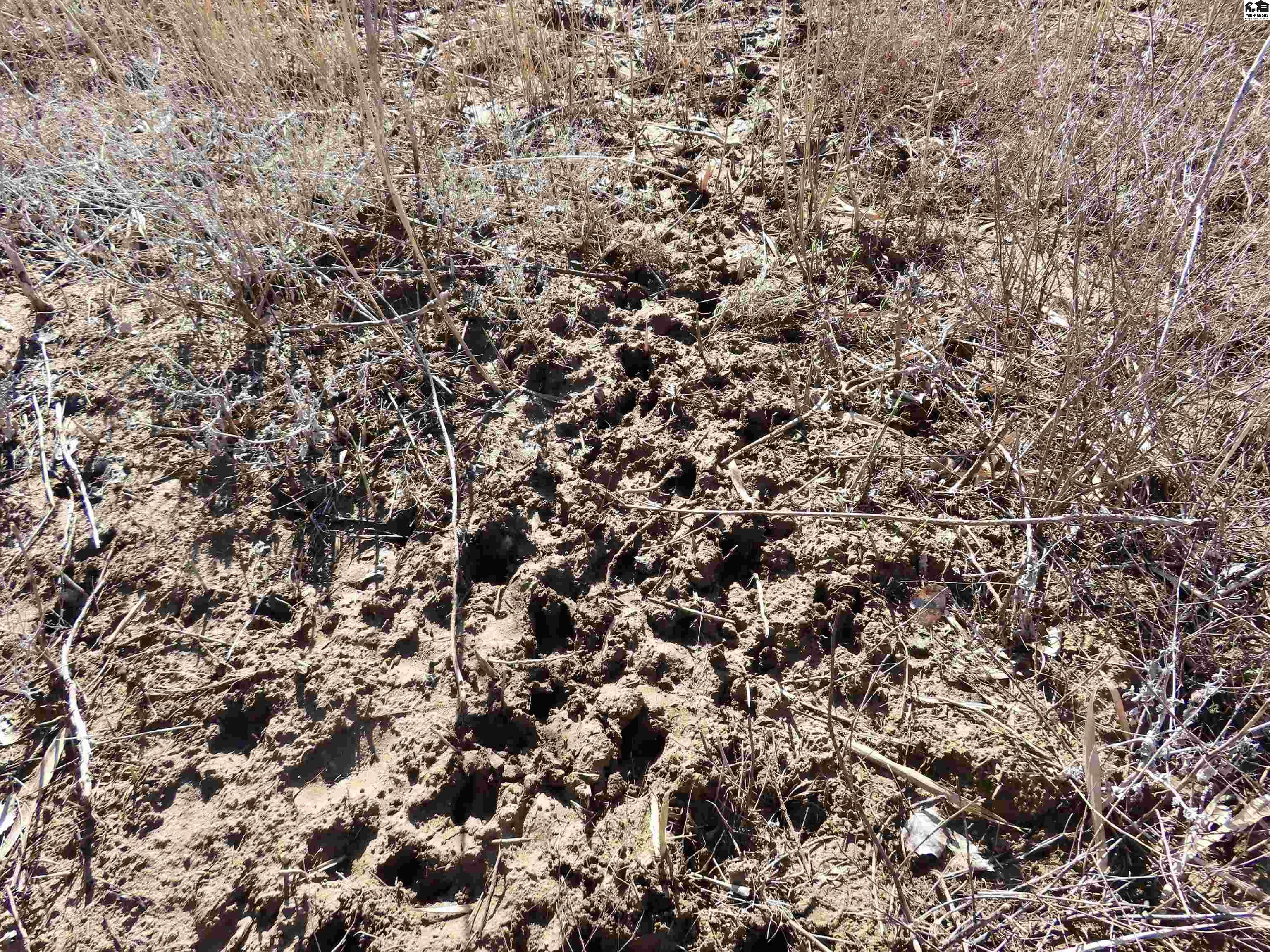 0000 S Dean Road Pretty Prairie KS 67570