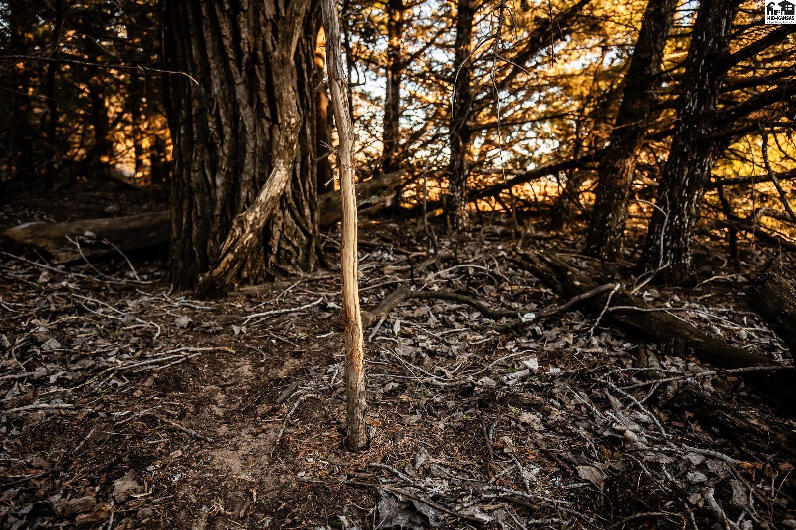 000 W Irish Creek Road Langdon KS 67583