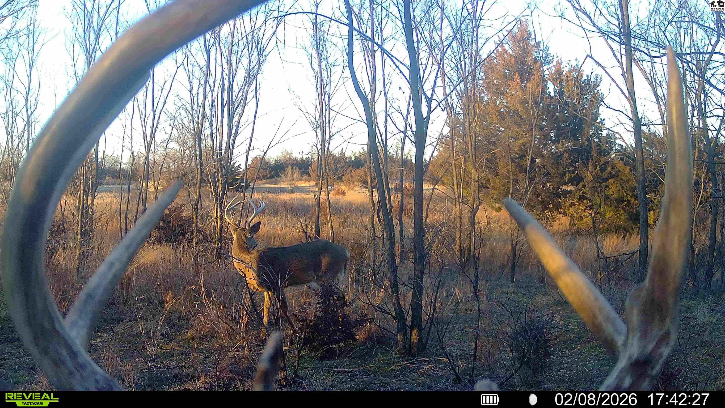 000 W Irish Creek Road Langdon KS 67583