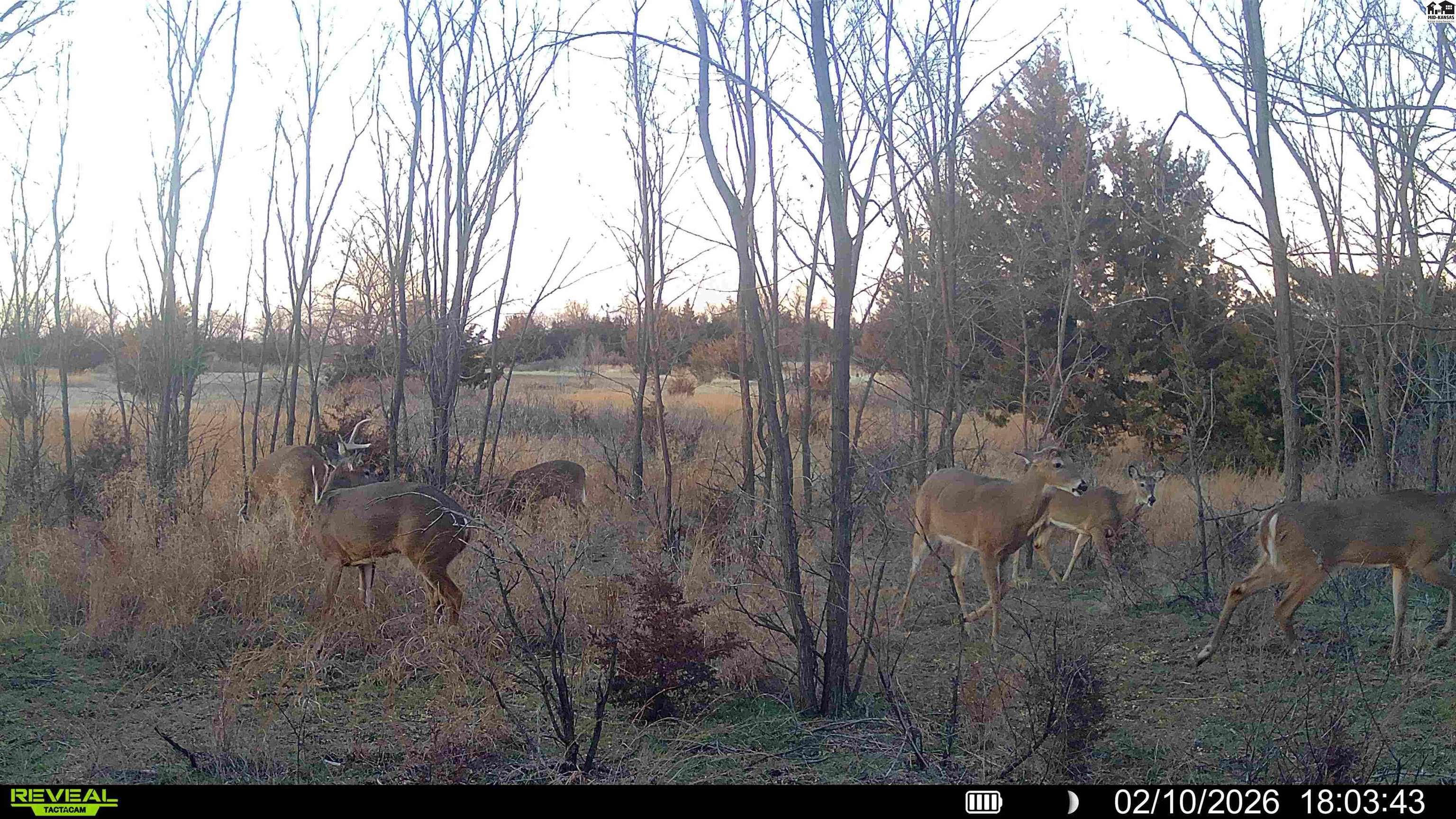 000 W Irish Creek Road Langdon KS 67583