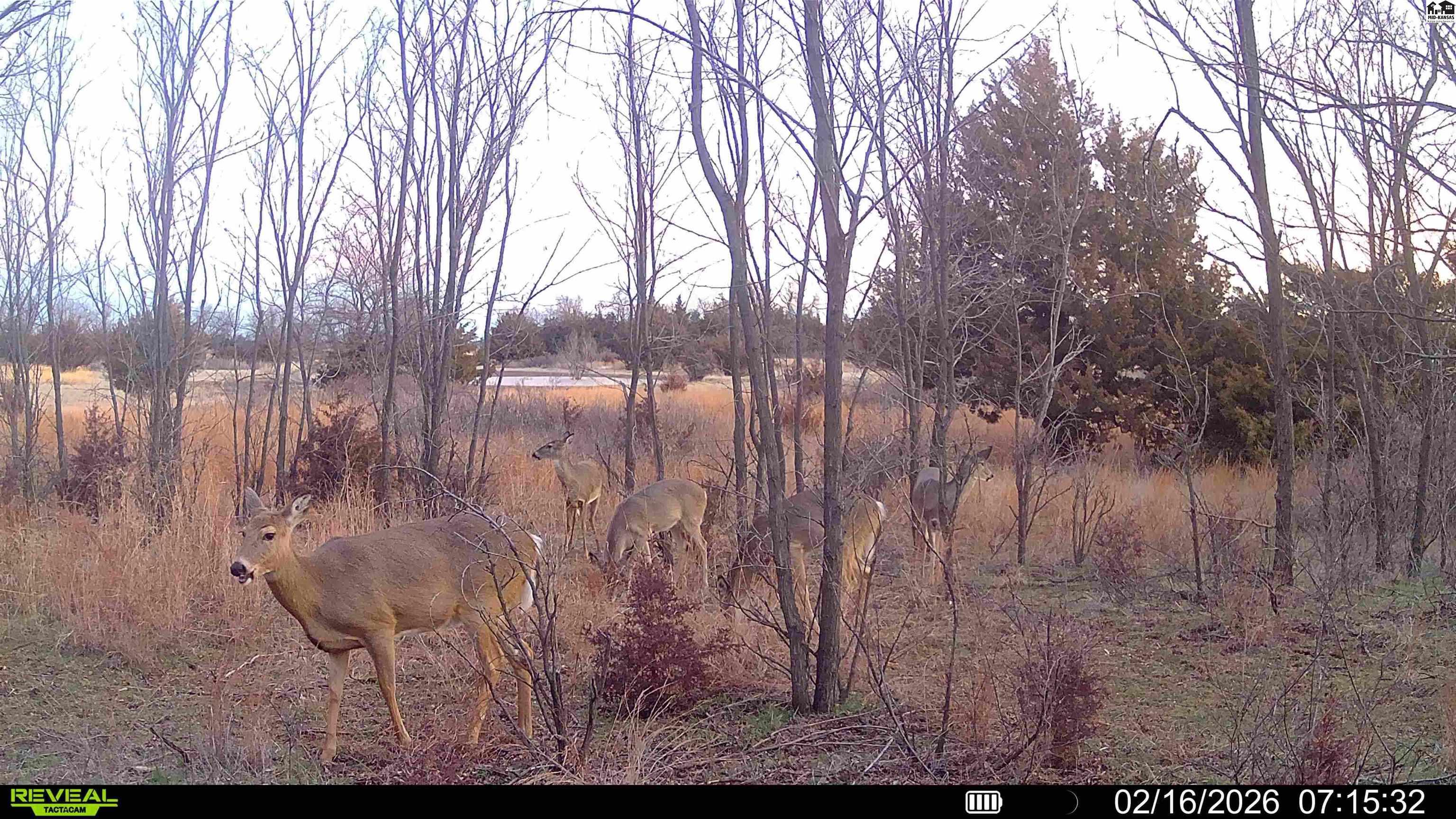 000 W Irish Creek Road Langdon KS 67583