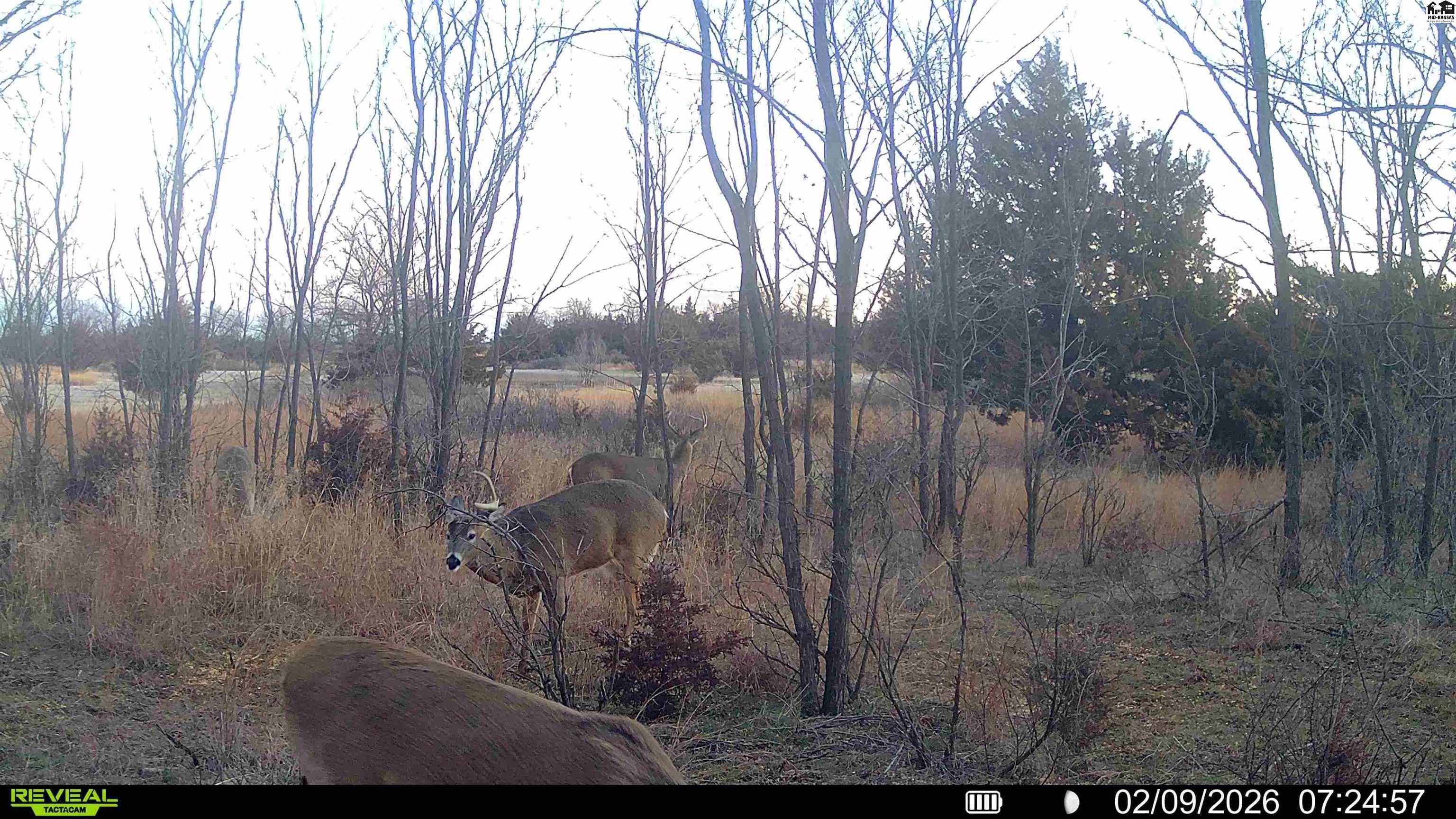 000 W Irish Creek Road Langdon KS 67583