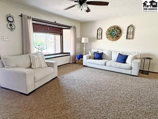 4 Hilltop Drive Hutchinson KS 67502