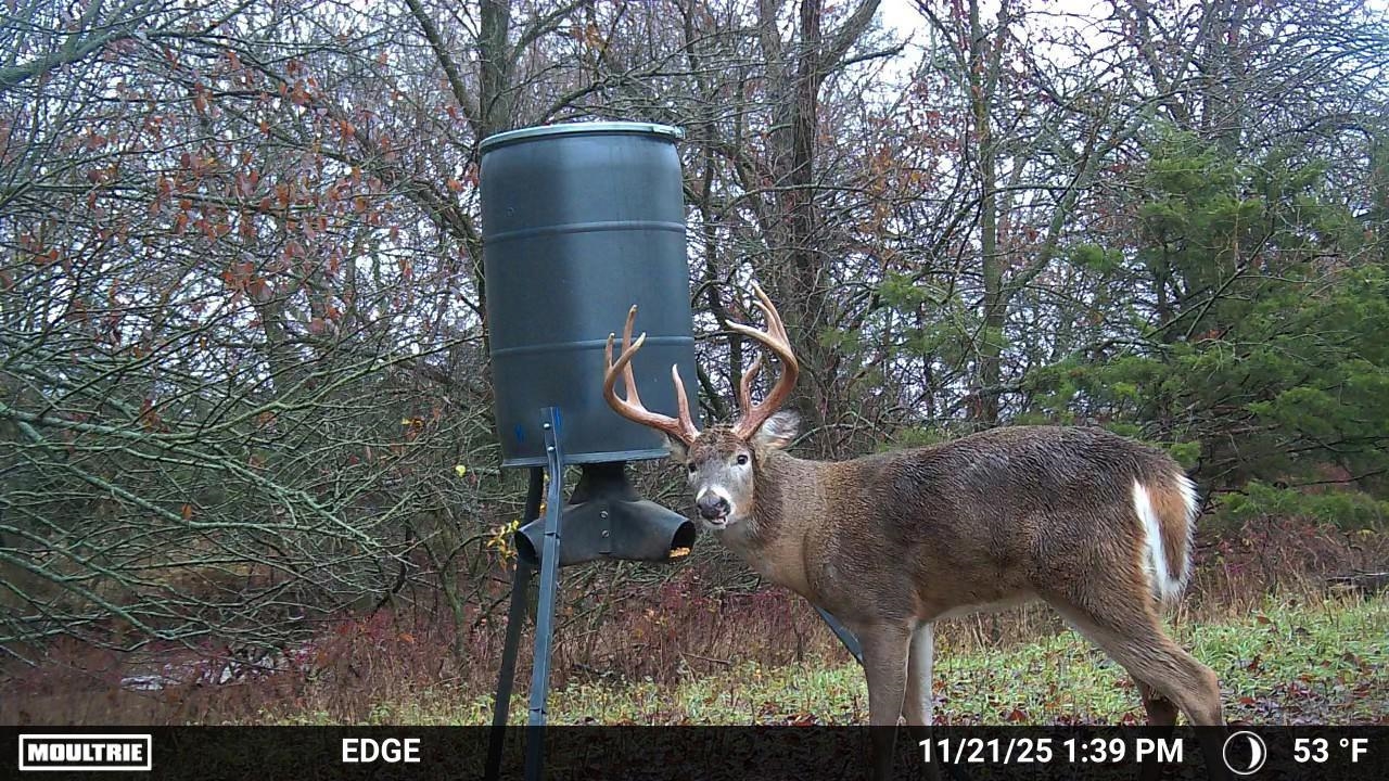 2486 180th Marion KS 66861