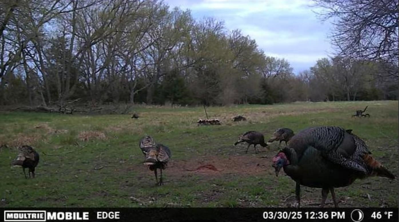 2486 180th Marion KS 66861