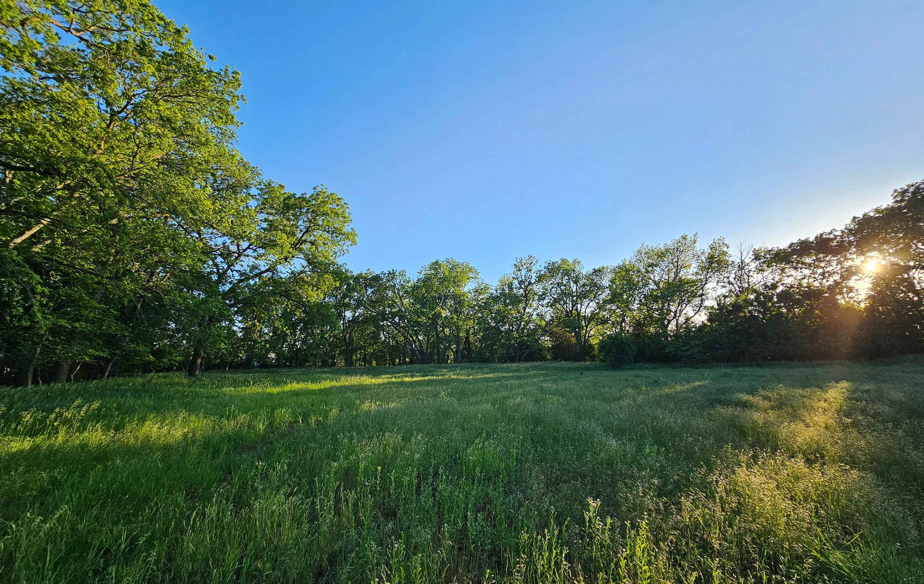 2486 180th Marion KS 66861