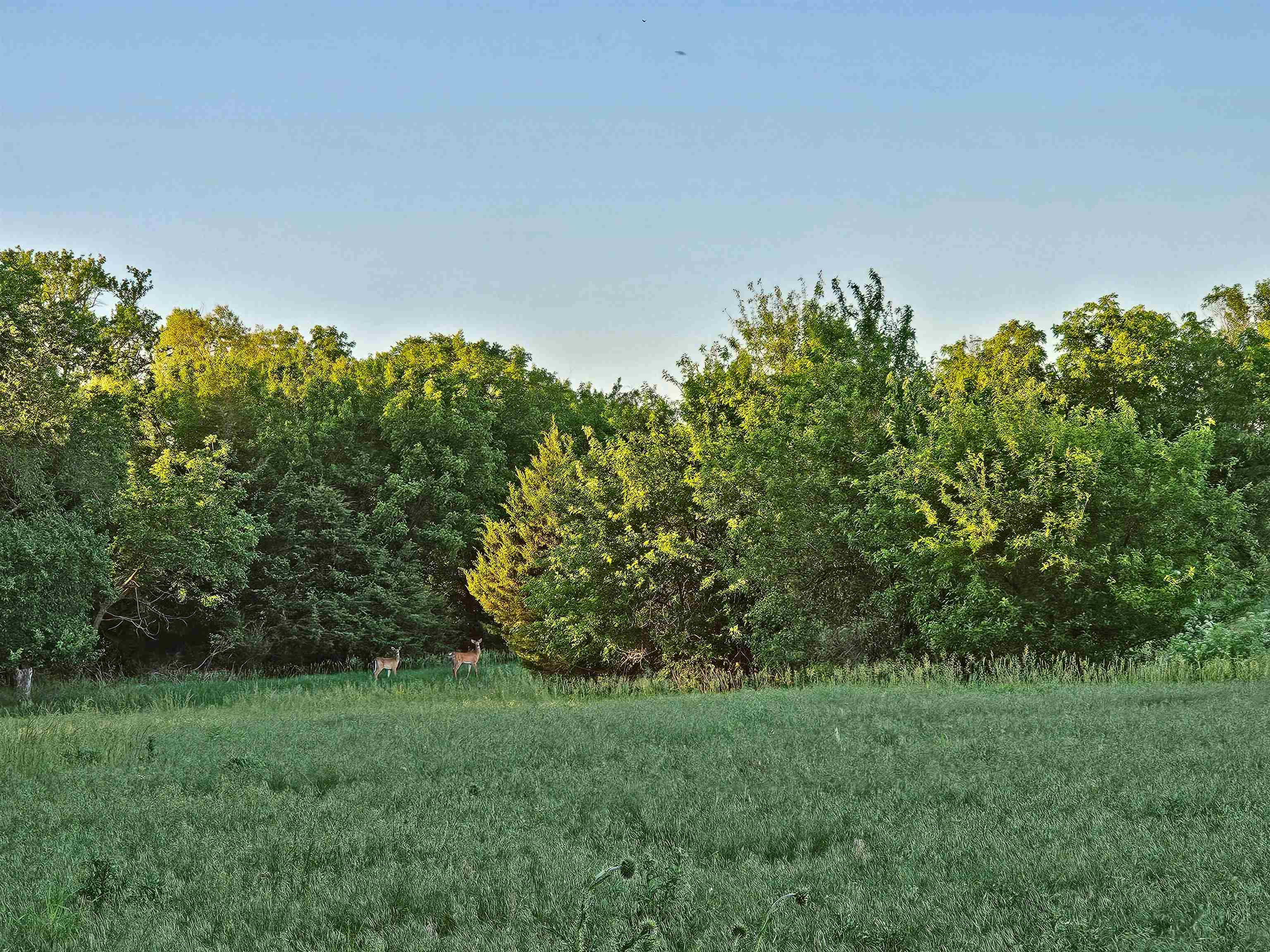 2486 180th Marion KS 66861