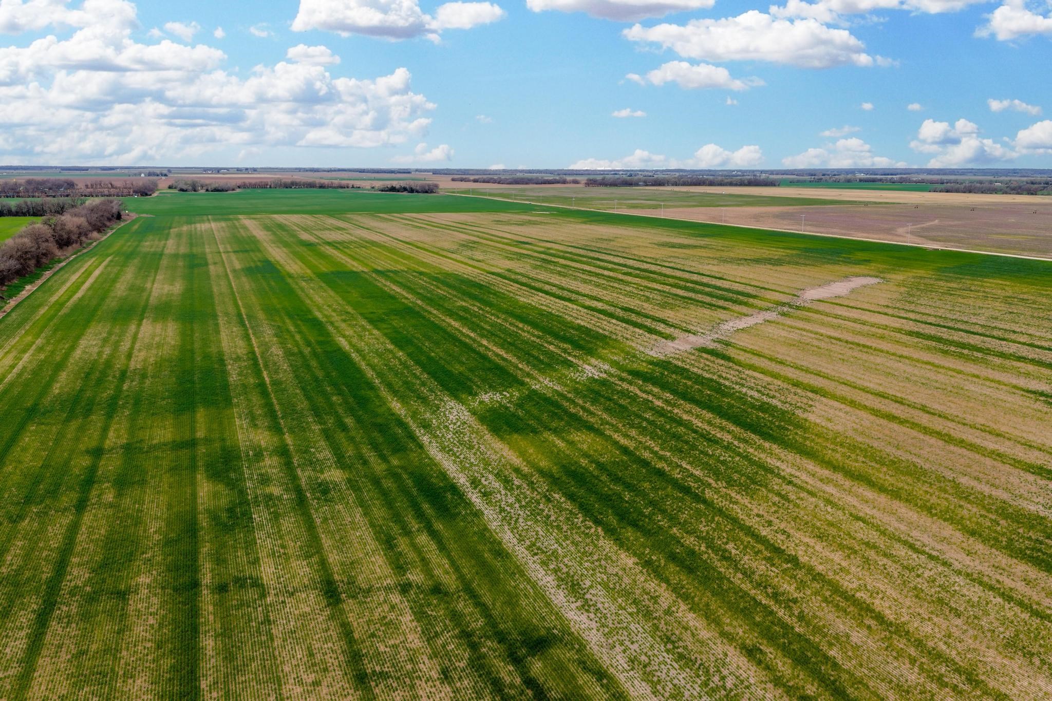0000 S Woodberry Road Burrton KS 67020
