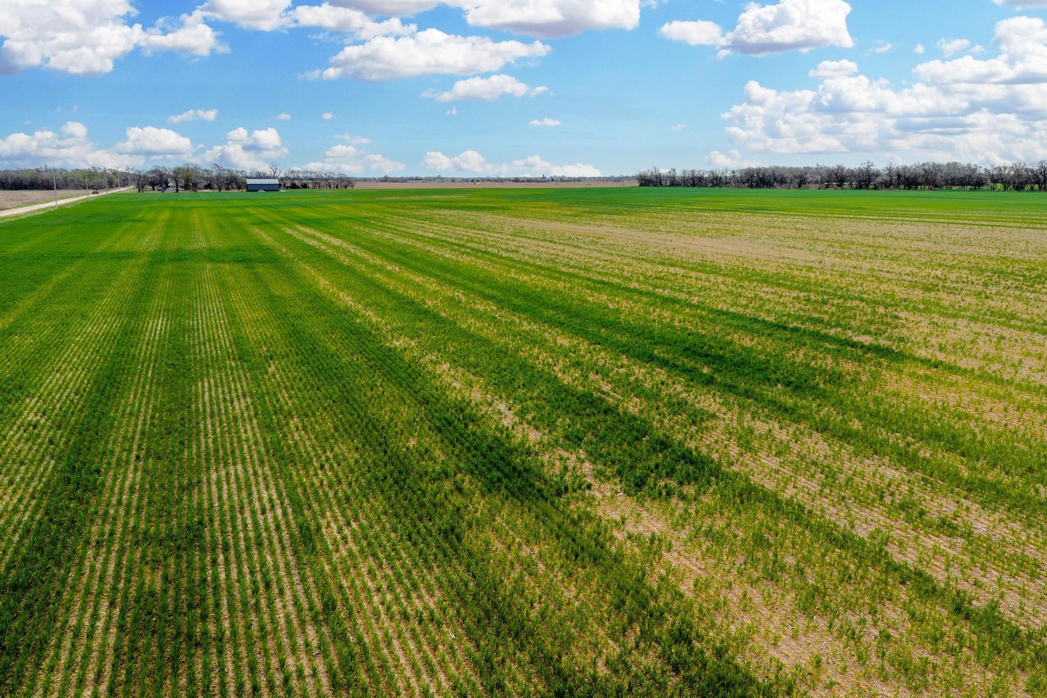 0000 S Woodberry Road Burrton KS 67020