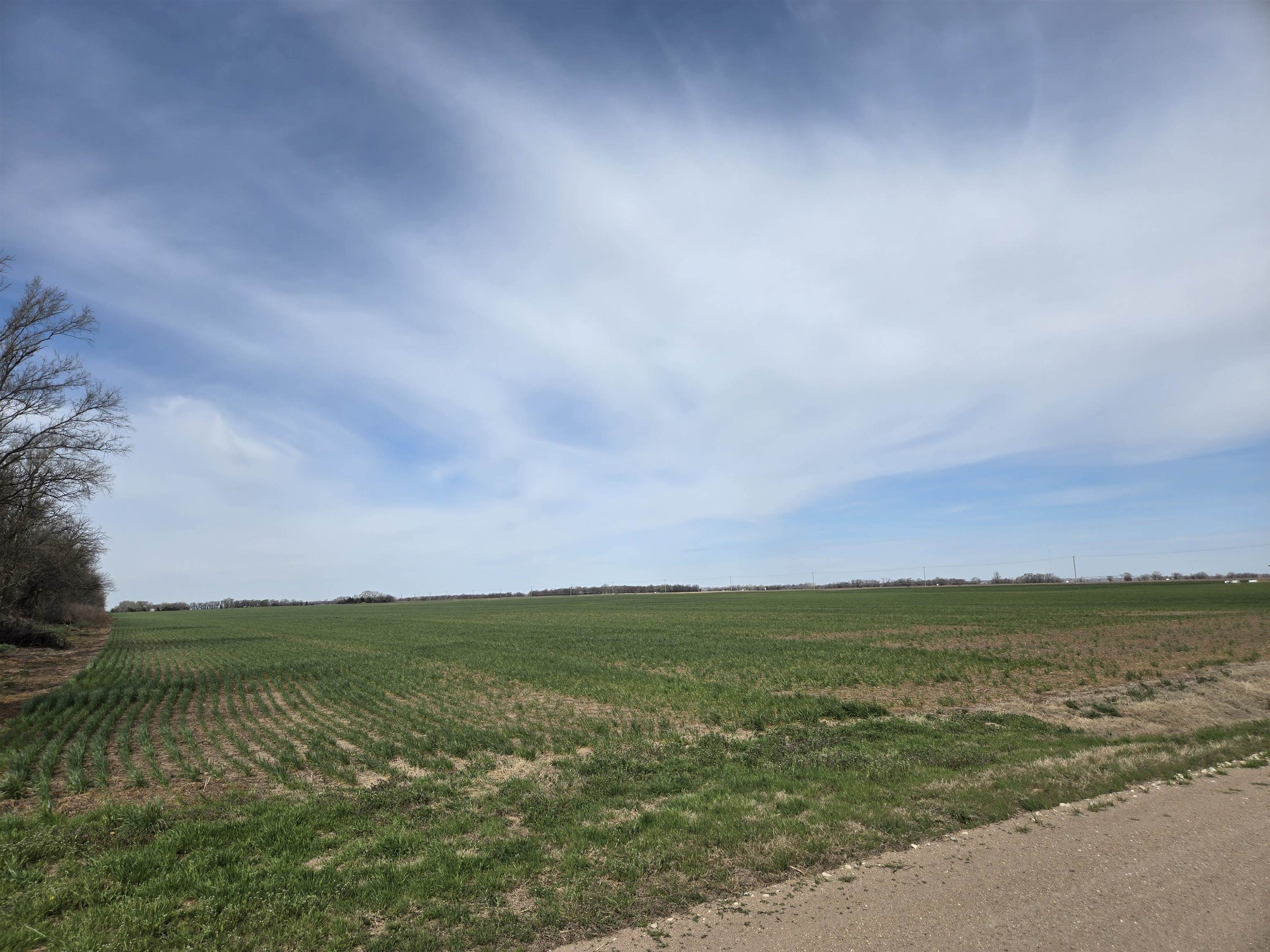 0000 S Woodberry Road Burrton KS 67020