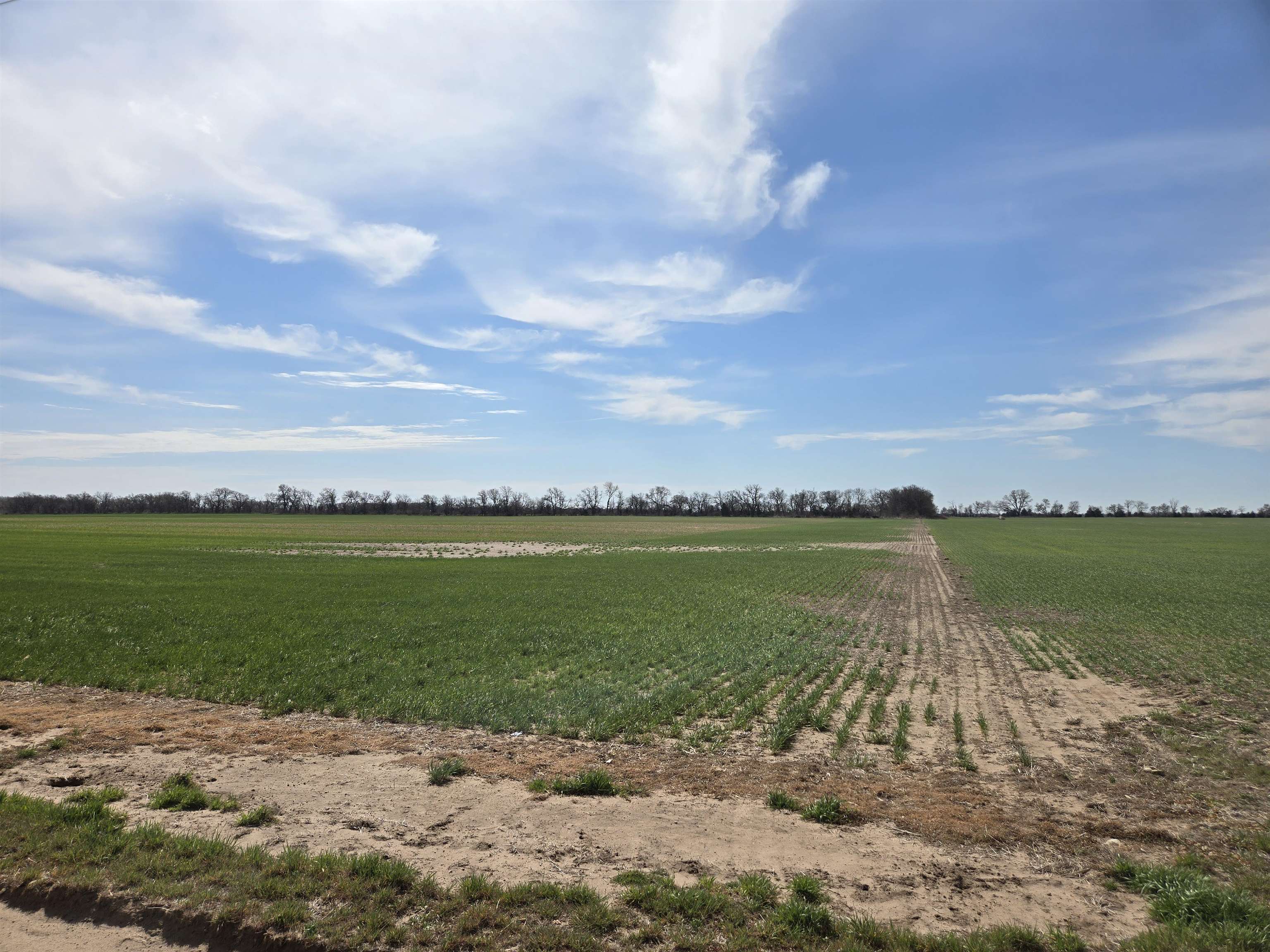 0000 S Woodberry Road Burrton KS 67020