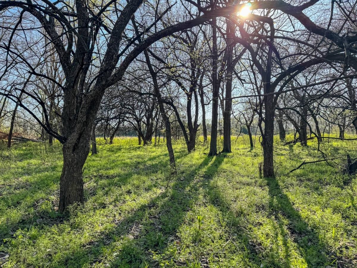000 SW Shumway Road Augusta KS 67010