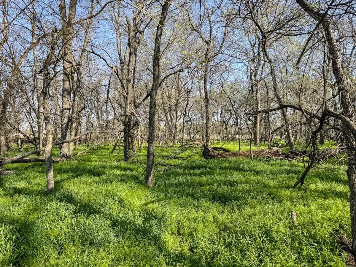 000 SW Shumway Road Augusta KS 67010