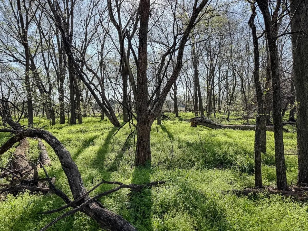 000 SW Shumway Road Augusta KS 67010