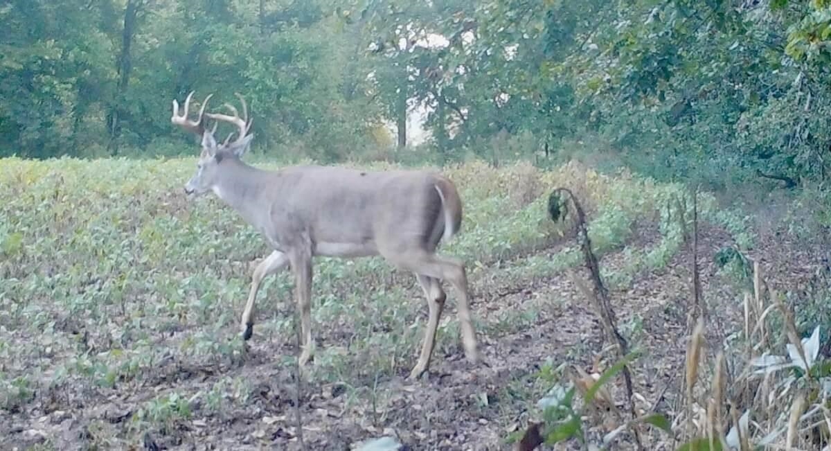 000 SW Shumway Road Augusta KS 67010