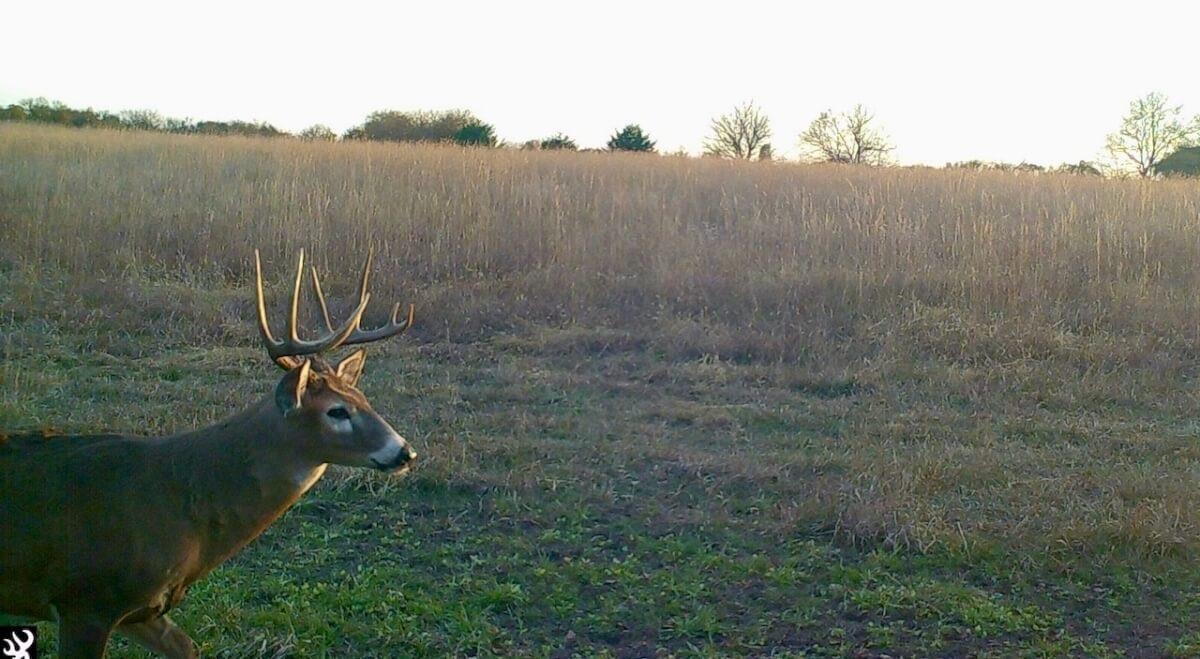 000 SW Shumway Road Augusta KS 67010