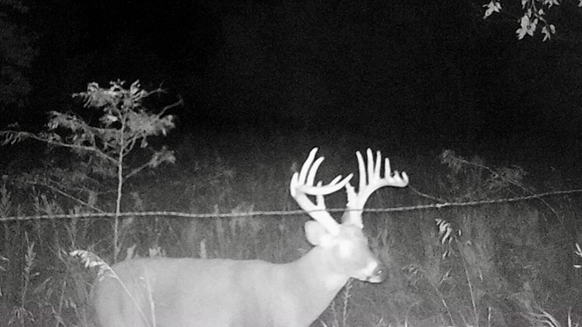 000 SW Shumway Road Augusta KS 67010
