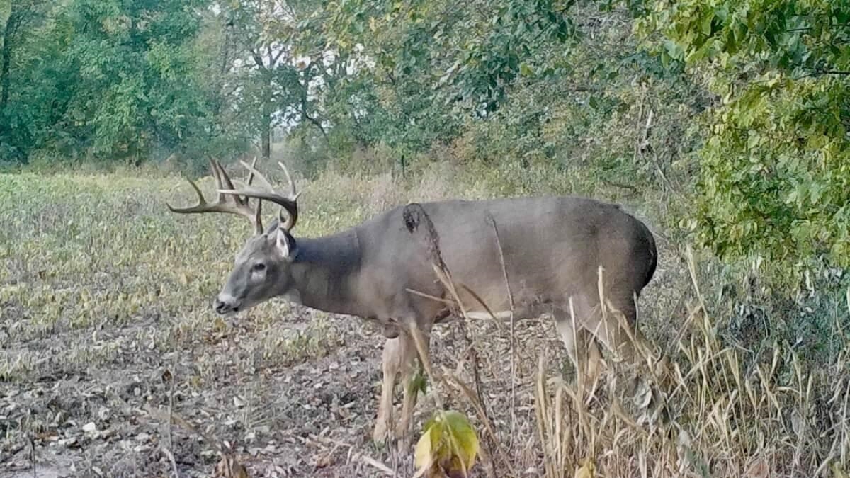 000 SW Shumway Road Augusta KS 67010