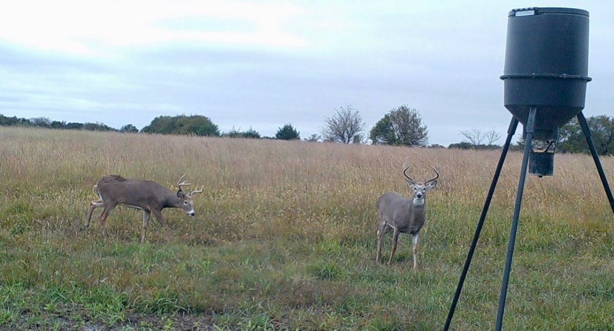 000 SW Shumway Road Augusta KS 67010