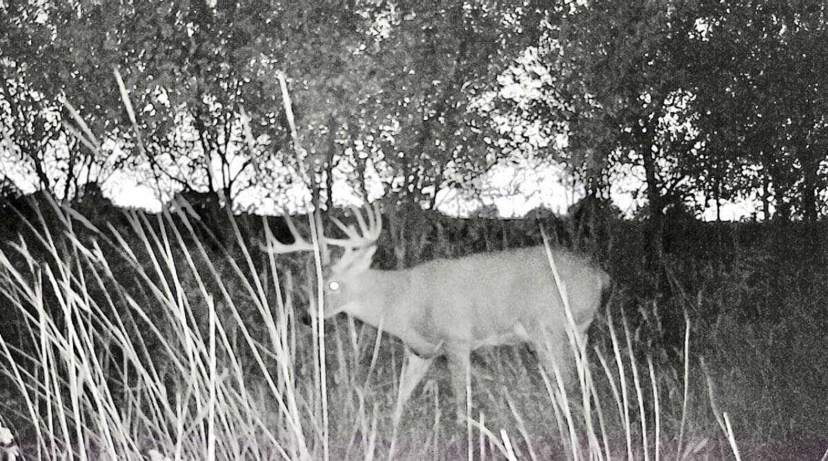 000 SW Shumway Road Augusta KS 67010