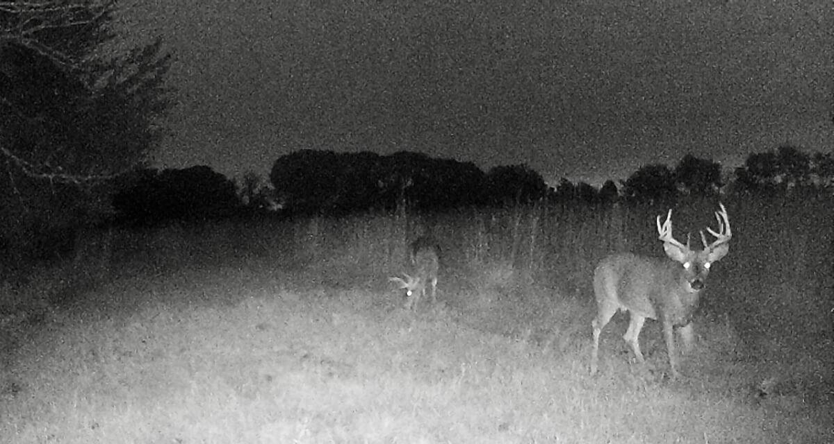 000 SW Shumway Road Augusta KS 67010