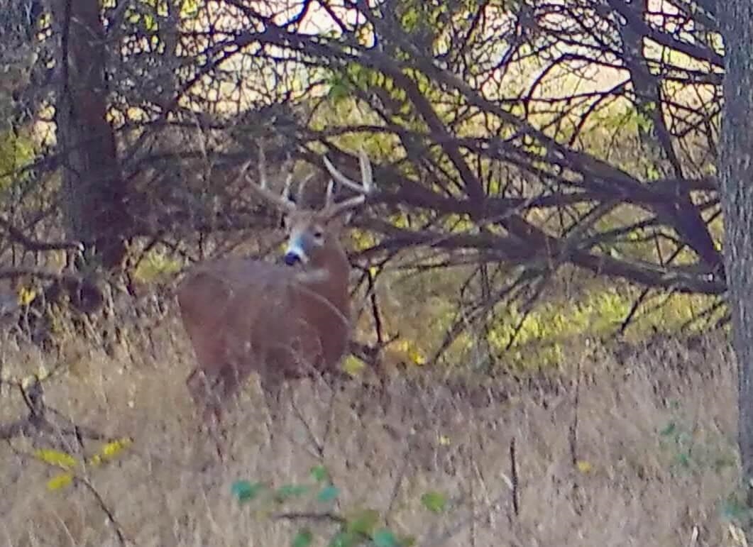 000 SW Shumway Road Augusta KS 67010