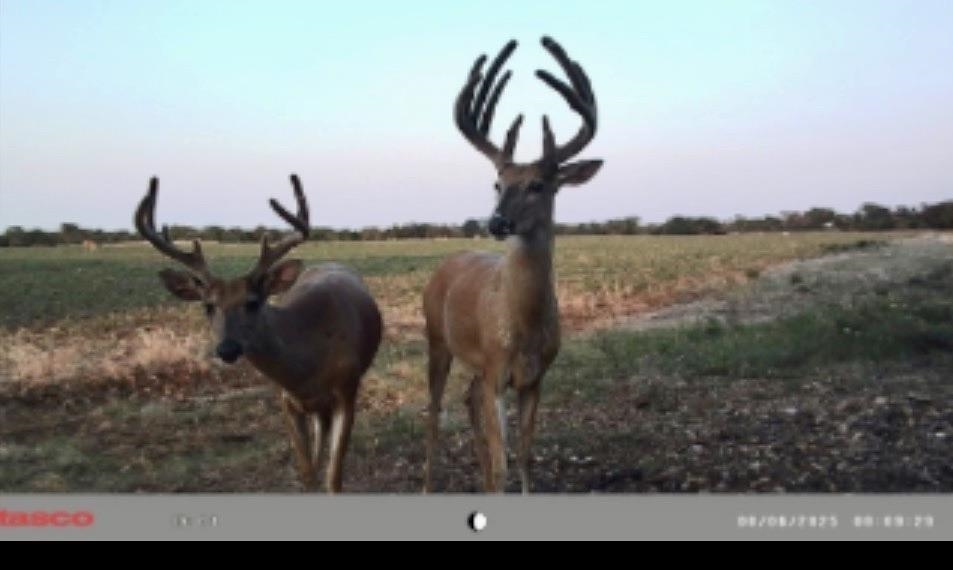 00000 S 222nd Road Winfield KS 67156