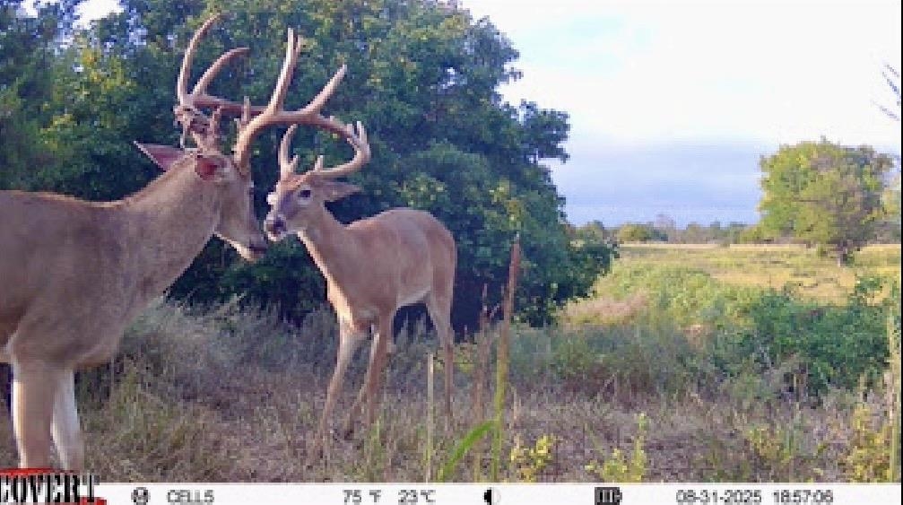 00000 S 222nd Road Winfield KS 67156