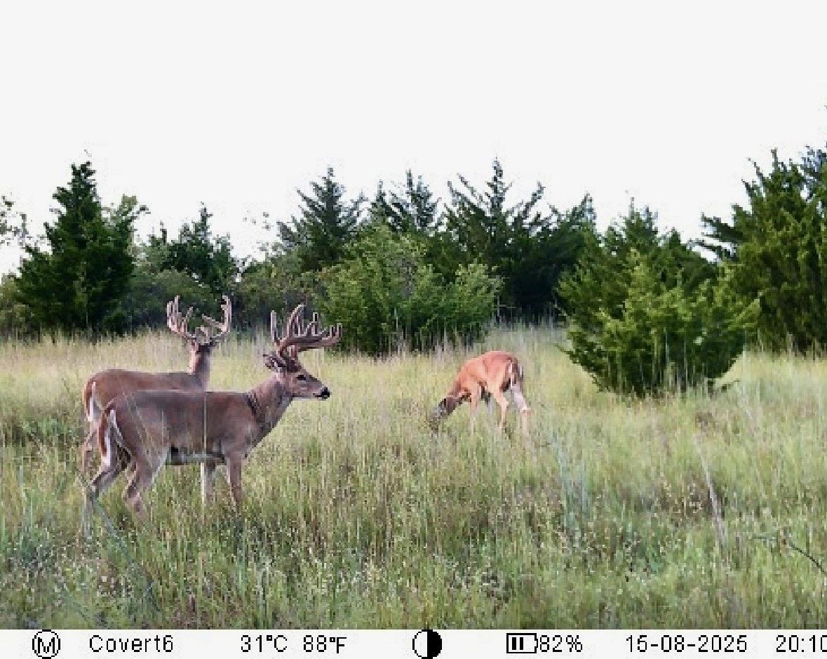 00000 S 222nd Road Winfield KS 67156