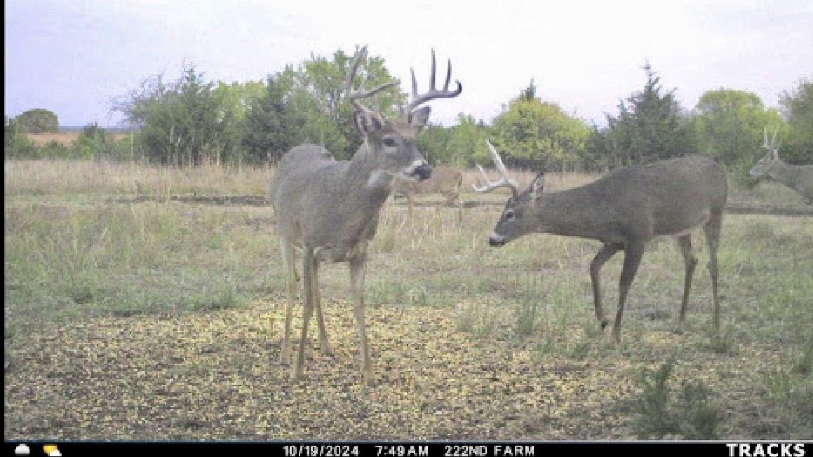 00000 S 222nd Road Winfield KS 67156
