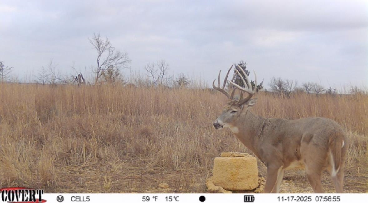 00000 S 222nd Road Winfield KS 67156