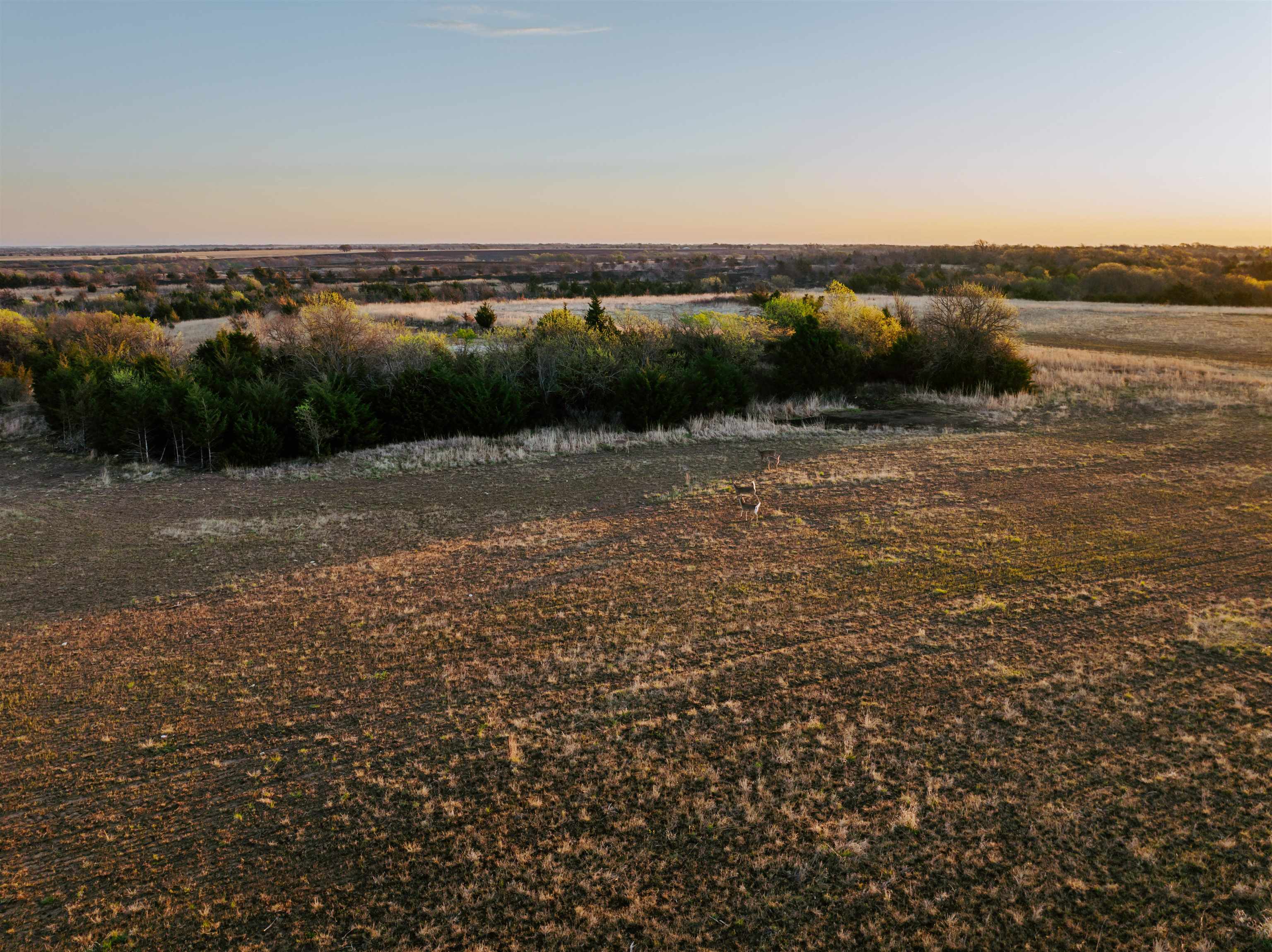 00000 S 222nd Road Winfield KS 67156